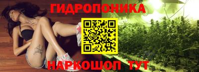PSILOCYBIN Обь
