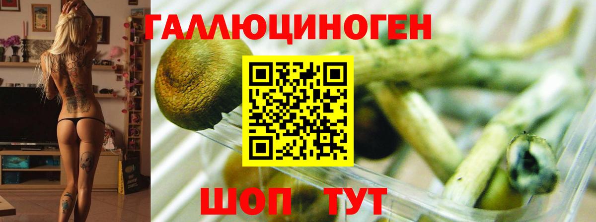 Галлюциногенные грибы прущие грибы Чебаркуль