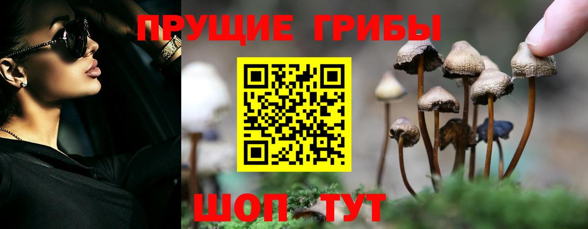 Галлюциногенные грибы прущие грибы  Вход с VPN  Чебаркуль 